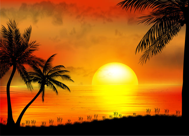 Fotomurales ilustración atardecer en la playa